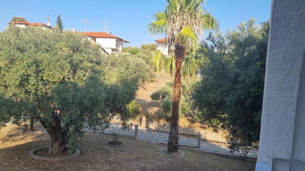 Holiday Aptm - Morningsun2 - Sithonia Agios Nikolaos  Exterior photo